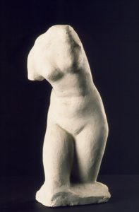 Study of a Venus